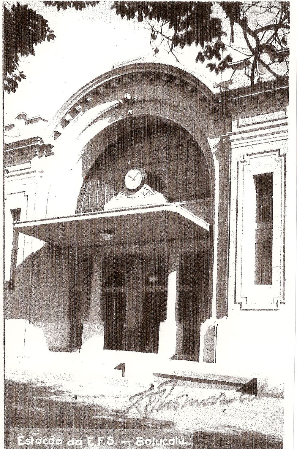 Foto - Fotos antigas de Botucatu - Acervo Maria Anna Moscogliato