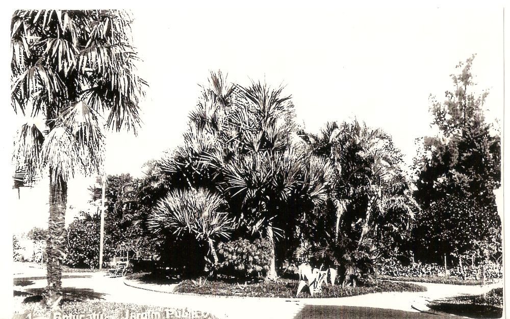 Foto - Fotos antigas de Botucatu - Acervo Maria Anna Moscogliato