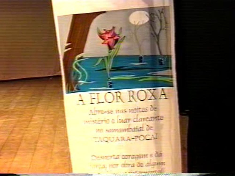 Foto - Visita da Academia Paulista de Letras em Botucatu em 2001